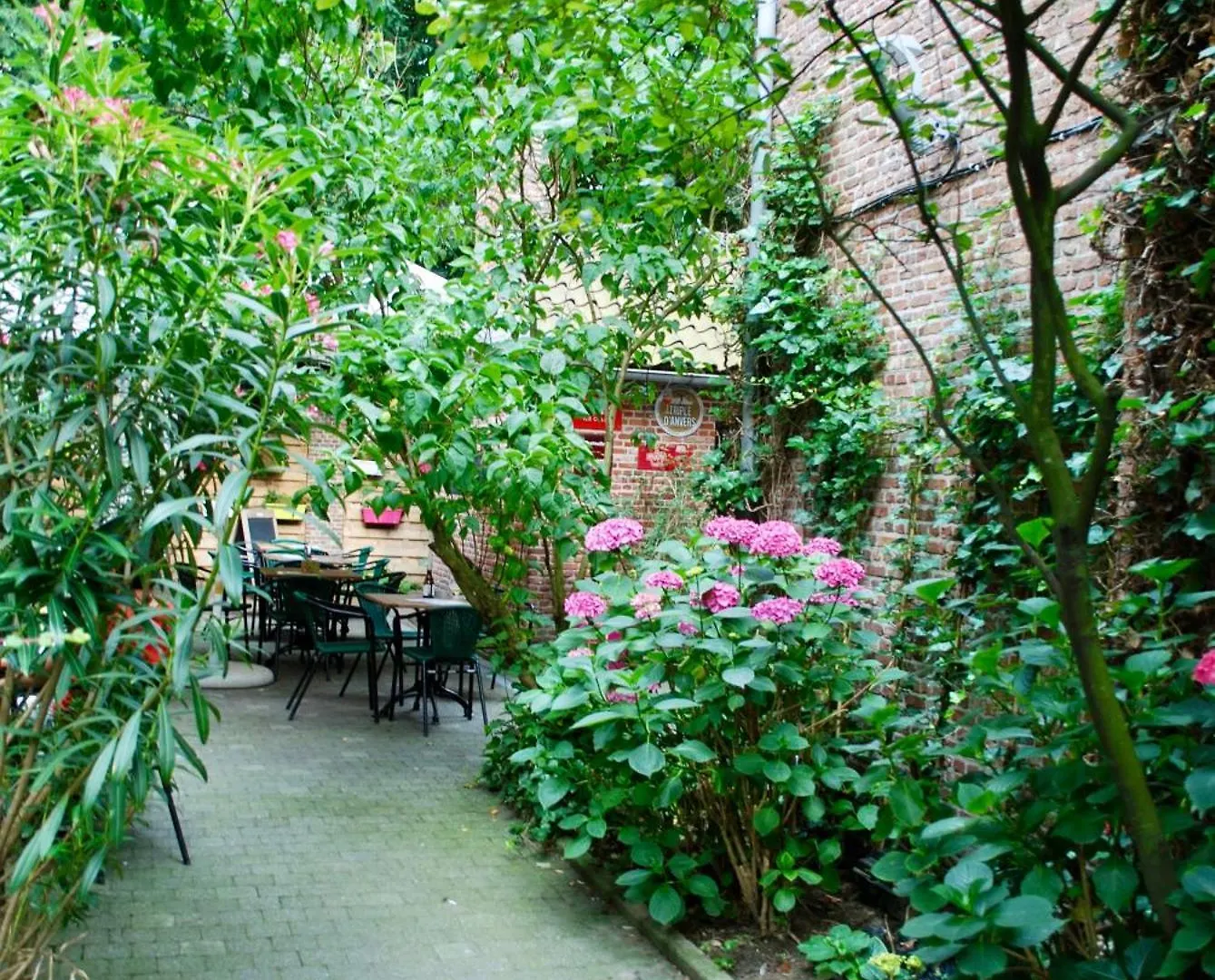 Historical Miniature House In The Heart Of Antwerp Apartment